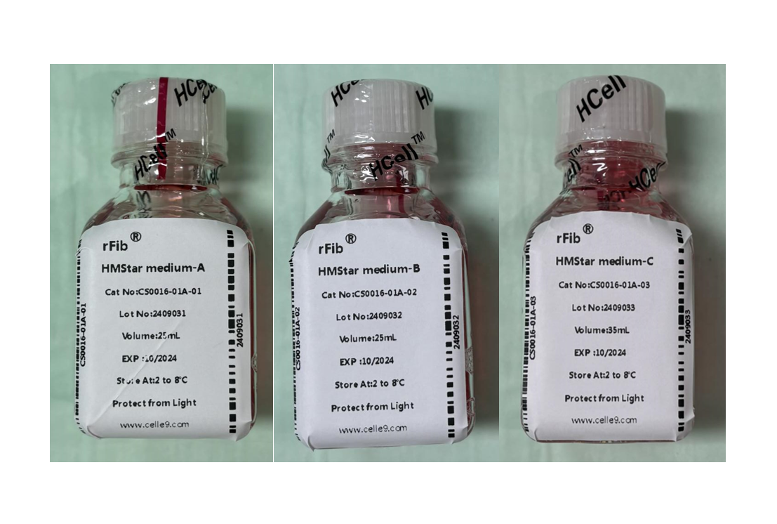 rFib Preparation Kit