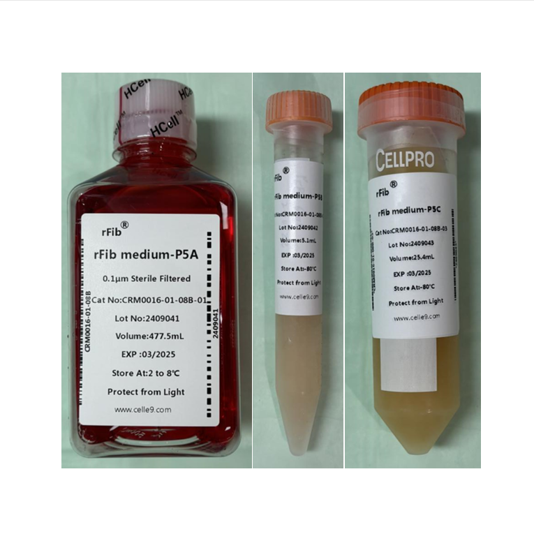 rFib medium